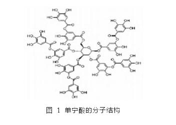 广东科鼎功能材料有限公司