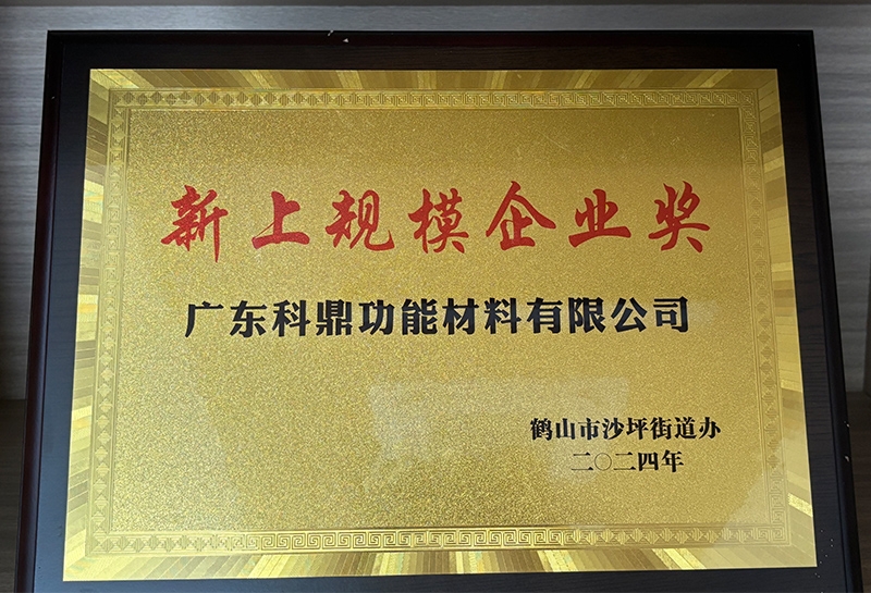 新上规模企业奖